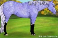 Horse Color:Watercolor Silver Black Chinchilla Ice Appaloosa 