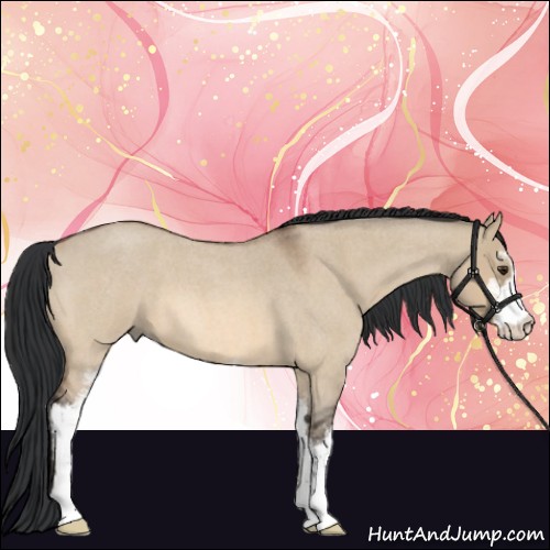 Horse Color:Bay Roan Dun Sabino 