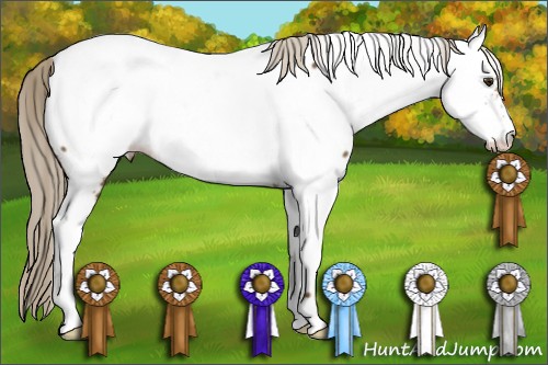 Horse Color:Chocolate Palomino Fewspot