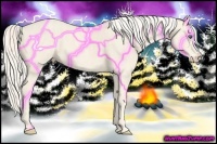 Horse Color:Cremello Splash Brindle