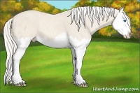 Horse Color:Cremello Splash  Brindle