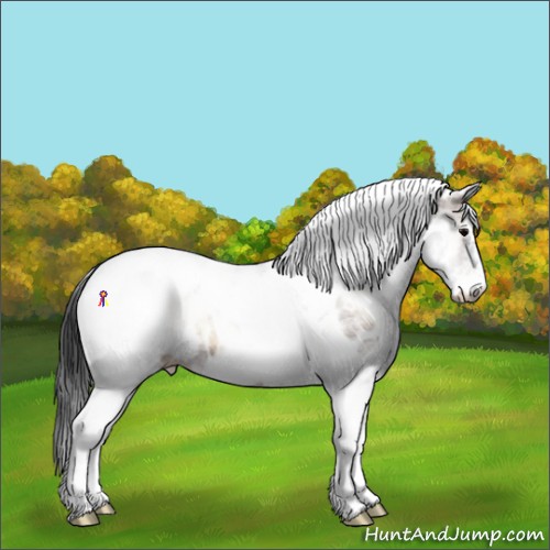 Horse Color:White Spotted Bay Onyx Tobiano Near Leopard Brindle