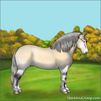 Horse Color:Silver Buckskin Chinchilla Onyx Brindle 