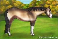 Horse Color:Brown Onyx 