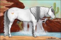 Horse Color:Bay Chinchilla Onyx Tobiano Blanket Brindle 