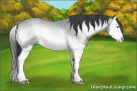 Horse Color:Sable Champagne Chinchilla Onyx Splash Brindle 