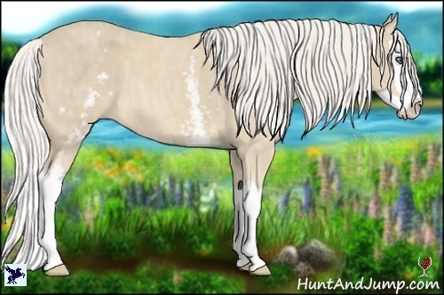 Horse Color:White Spotted Cremello Splash  Brindle