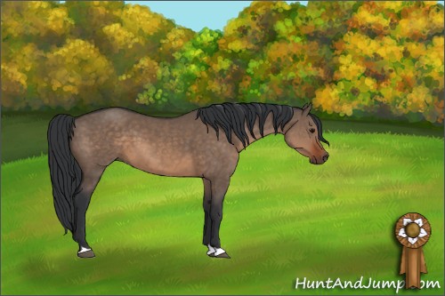 Horse Color:Brown Dun