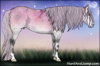 Horse Color:Silver Brown Chinchilla Ice Onyx Brindle
