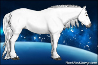 Horse Color:Gray Chestnut Sabino Blanket 