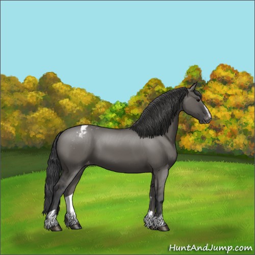 Horse Color:Grullo Sabino Appaloosa 