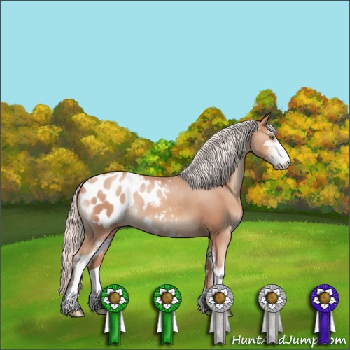 Horse Color:Silver Sable Champagne Sabino Blanket