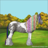 Horse Color:Painted Grullo Tobiano Rabicano