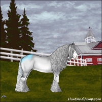 Horse Color:Silver Brown Chinchilla Roan Sabino Splash