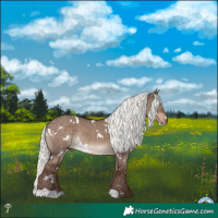 Horse Color:White Spotted Liver Red Dun Mushroom Rabicano 