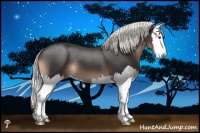 Horse Color:Liver Chestnut Mushroom Splash 