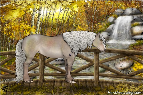 Horse Color:Liver Red Dun 