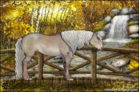 Horse Color:Liver Red Dun