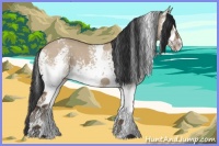Horse Color:White Spotted Bay Dun