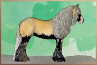 Horse Color:Silver Brown Chinchilla Dun Sabino Splash