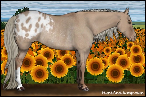 Horse Color:Red Dun Mushroom Blanket Rabicano 