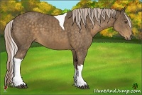 Horse Color:Chocolate Palomino Sabino Tobiano Brindle