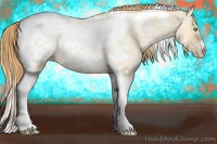 Horse Color:Gold Champagne Roan Dun Splash Tobiano Frame Appaloosa Rabicano 