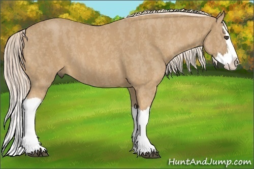Horse Color:Palomino Splash  Brindle