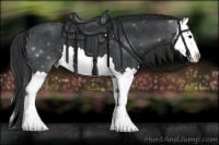 Horse Color:Black Splash