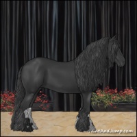 Horse Color:Black 