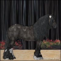 Horse Color:Grullo Ice 