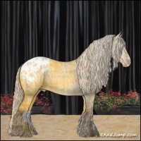 Horse Color:Plaid  Silver Grullo Ice Appaloosa 