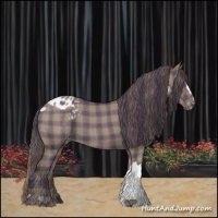 Horse Color:Plaid  Grullo Blanket 
