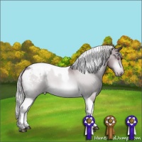 Horse Color:Chocolate Silver Bay Chinchilla Tobiano Appaloosa 