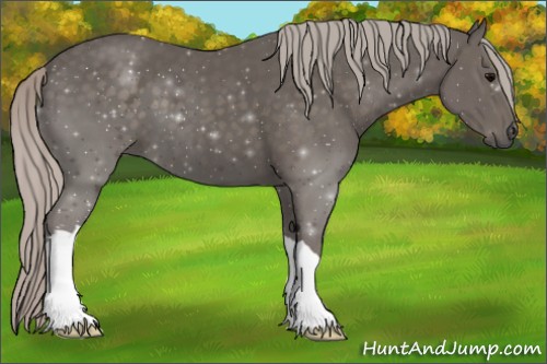 Horse Color:Silver Black 