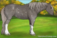 Horse Color:Silver Black 