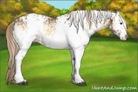 Horse Color:White Spotted Chocolate Palomino Ice Onyx Varnish