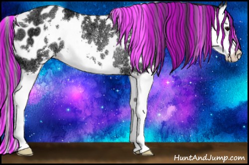 Horse Color:Painted White Spotted Black Ice Splash Appaloosa Rabicano
