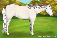 Horse Color:Cremello Splash  Brindle