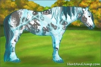 Horse Color:Thunderstruck White Spotted Grullo