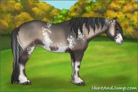 Horse Color:White Spotted Blue Onyx 