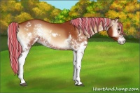 Horse Color:Painted White Spotted Silver Bay Onyx Rabicano 