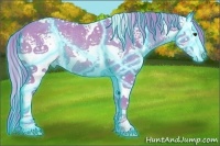Horse Color:Thunderstruck Watercolor White Spotted Chestnut Splash Rabicano