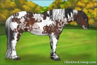 Horse Color:Brown Ice Tobiano 