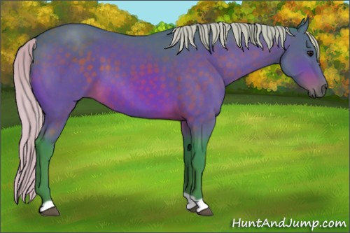 Horse Color:Watercolor Silver Brown