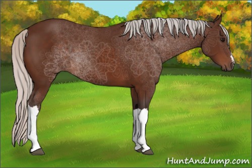 Horse Color:Silver Brown 