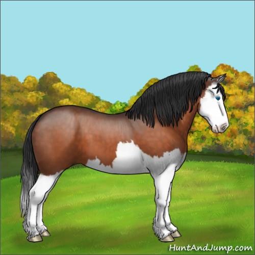 Horse Color:Brown Sabino Splash