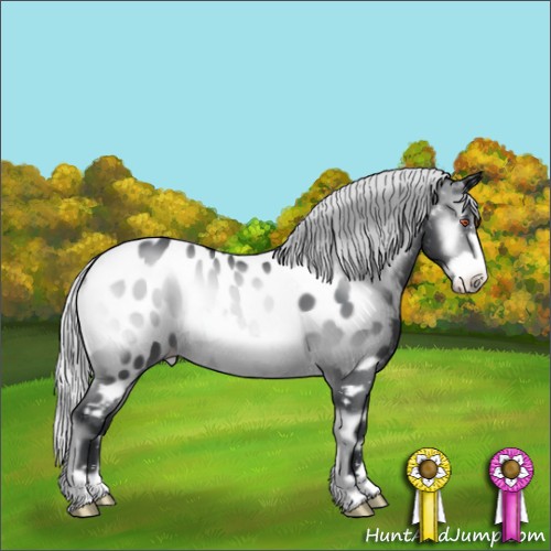 Horse Color:Silver Brown Chinchilla Onyx Frame Appaloosa 