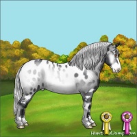 Horse Color:Silver Brown Chinchilla Onyx Frame Appaloosa 