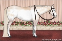 Horse Color:Palomino Pearl Onyx Sabino Frame Rabicano 